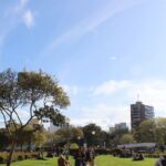 ¿Cómo estará el tiempo en Mar del Plata durante este fin de semana?