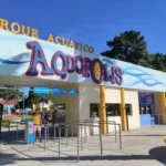 Pilaftsidis analizó la temporada en el Complejo El Griego: “Fue de 7 puntos, aprobada”