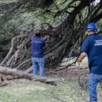 Obras de puesta en valor en el Parque Primavesi