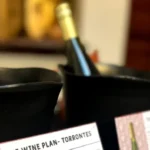 “Entre Copas”: una experiencia sensorial entre el cine y el vino