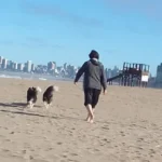 El tiempo para este viernes 27 de marzo en Mar del Plata