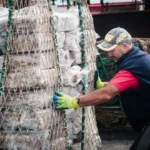 El Puerto de Mar del Plata alcanzó en 2025 la mayor descarga de pescado en una década