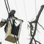 Dos distribuidores fuera de servicio dejaron sin luz a barrios del sur de Mar del Plata