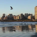 Más de 3 millones de turistas visitaron Mar del Plata en el verano