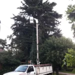 Cerca de 2800 familias permanecen sin luz por la tormenta en Mar del Plata