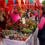 Actividades en Plaza Mitre: Sabores sobre Ruedas y Expo Emprendedores