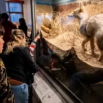 Entrada gratuita en museos de Mar del Plata durante el fin de semana largo