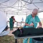 Nuevas ubicaciones para los quirófanos móviles para animales