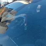 Susto en la calle: un árbol colapsó, enganchó cables y tiró un poste de luz que cayó sobre un auto