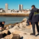 El Municipio intervino en la zona costera con operativos de limpieza y control de plagas