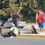 Un joven fue trasladado tras un choque en 14 de Julio y Colón