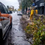 Temporal en la ciudad: 70 reclamos y continúan los trabajos por caída de árboles y daños urbanos