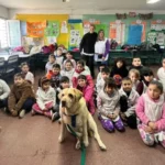 Capacitarán a docentes marplatenses sobre tenencia responsable de mascotas