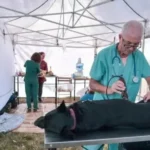 Nuevos lugares para los quirófanos móviles para animales