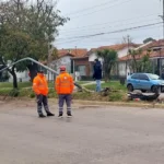 Se subió al cantero y derribó una columna de luz: fuerte choque en Fortunato de la Plaza y Dolores