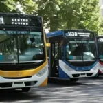 El boleto de colectivo en Mar del Plata aumentará a $1.922 desde junio