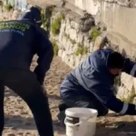 Realizan trabajos de limpieza y control de roedores en sectores costeros