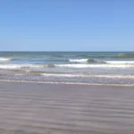La temperatura del mar promedió 18,3 grados durante abril en Mar del Plata