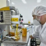 Mar del Plata retoma la exportación de miel fraccionada a EEUU tras veinte años