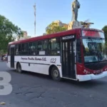 Paro total de colectivos en Mar del Plata: desde las 18.00 no circulan por falta de pago a choferes