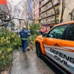 Defensa Civil, con trabajo intenso por árboles y carteles caídos