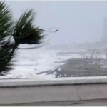Advierten por fuertes vientos en Mar del Plata con ráfagas que podrían superar los 60 km/h