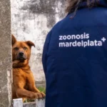 Rescataron a dos perros que estaban en estado de abandono
