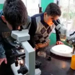 Jornada de concientización con el programa Prevenir en el Día Mundial del Ambiente