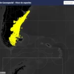 INIDEP lanzó un geovisor que muestra la distribución histórica de especies marinas desde 1981