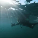 Mar del Plata celebrará el Día Mundial de los Océanos con cine gratuito