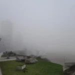 Mar del Plata cubierta por la niebla: postales de la costa durante la tarde del jueves