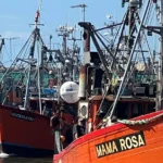 Gutiérrez rechazó cambios en las cuotas de pesca y advirtió por el impacto sobre el empleo en Mar del Plata
