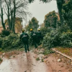 Fuerte viento en Mar del Plata: el Municipio atendió 40 reclamos y mantiene el operativo