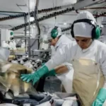 Producto Local: ya son 310 las empresas que forman parte del programa en Mar del Plata