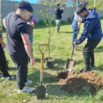La UNMdP plantó 40 árboles en dos barrios de Mar del Plata como parte de una iniciativa ambiental