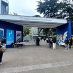 El peronismo gana fuerza en la UNMdP frente al retroceso de la Franja Morada y los libertarios