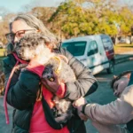 Cronograma del quirófano móvil para mascotas en Mar del Plata