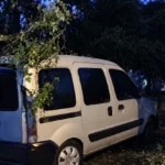 El viento provocó caída de postes y árboles durante la madrugada en la ciudad