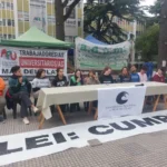 Quinta marcha universitaria: el reclamo de la UNMdP al Gobierno