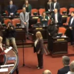 El Senado aprobó la licencia de Montenegro y la tandilense María Luján Fiego juró en su lugar