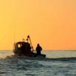 El mar de Mar del Plata estuvo más frío de lo habitual durante septiembre