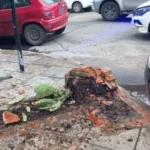 Dos autos chocaron y uno terminó contra un cantero que rompió la vidriera de un local
